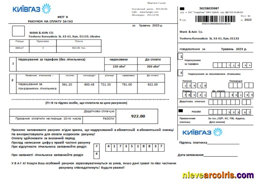 KievGaz utility business bill
